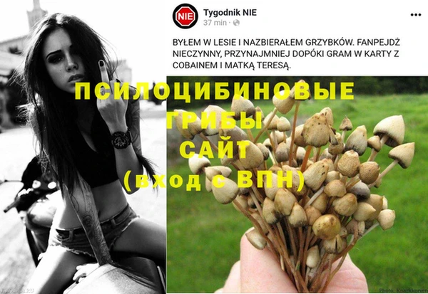 гашик Армянск