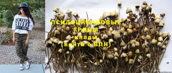 гашик Армянск