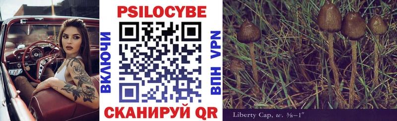 Купить где  Аша  Галлюциногенные грибы мухоморы 